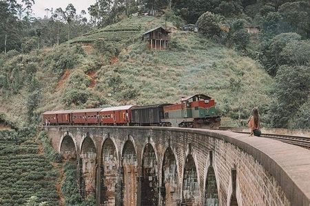 Day Tour at Sri Lanka Elephant Home and Little Adam's Peak