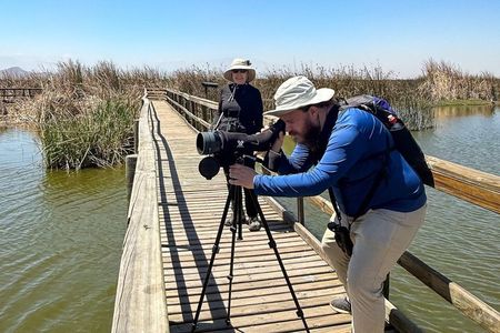 Half-Day Birdwatching Santiago: Wetland or Mountain