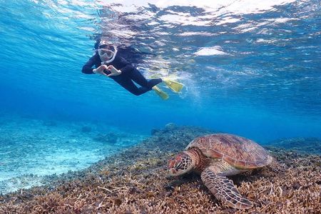 Snorkeling in Miyakojima- Fluent English! Private tour!
