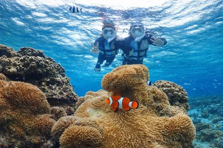 Snorkeling in Miyakojima- Fluent English! Small group!