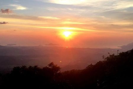 JungleWalla Langkawi Rainforest Afterdark