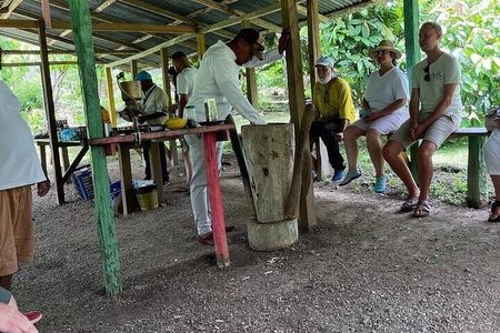 Safari and City Tours