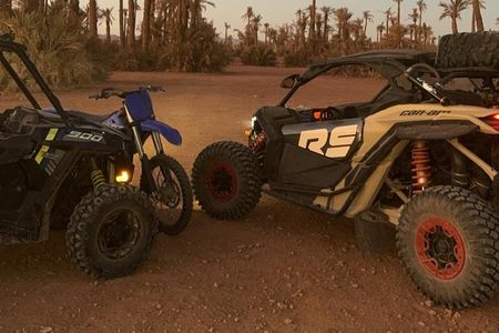 Explore the Marrakech Palm Desert in Buggy