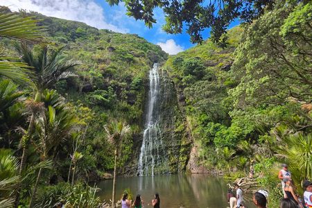 Private Auckland best Spots + Piha beach & Karekare Falls Tour