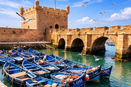 Marrakech: Small Group to Essaouira Day Tour, Unesco & Beach
