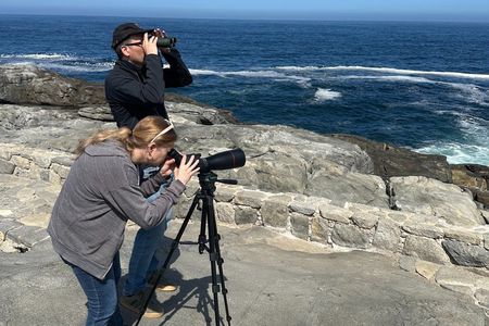 Zapallar Walking & Bird Watching Penguins From Valpo.Private Tour