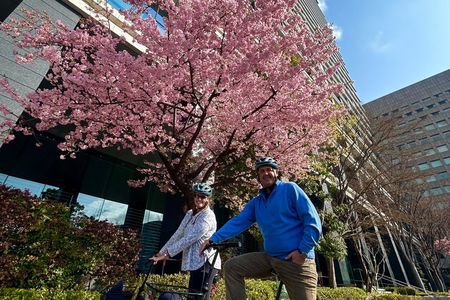 Best Introduction to Tokyo – 3h E-Bike Highlights Tour 
