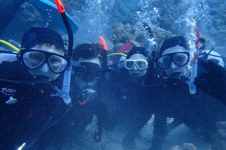 [Half day] Charter diving experience at Ishigaki Island - Novices welcome!!～