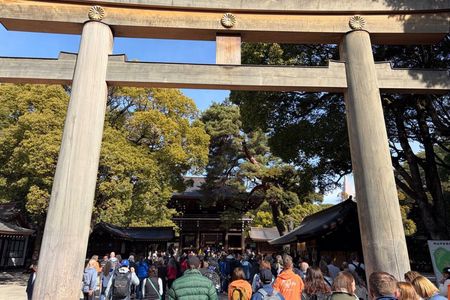 Tokyo Private Full-Day Tour – Luxury Car & English Guide