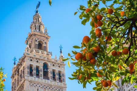 Seville Cathedral & Giralda tour with Priority Tickets