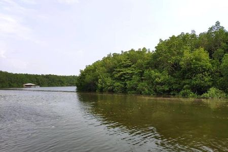 JungleWalla Desaru Coast Day River Cruise