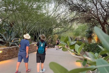 Sunset Walking Tour: Private & Corporate Groups: Botanical Garden