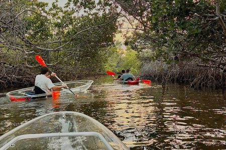 Clear Kayak Morning Tour in Anna Maria Island