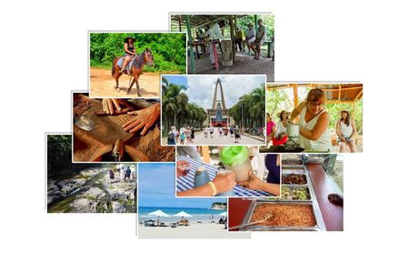 Safari and City Tours