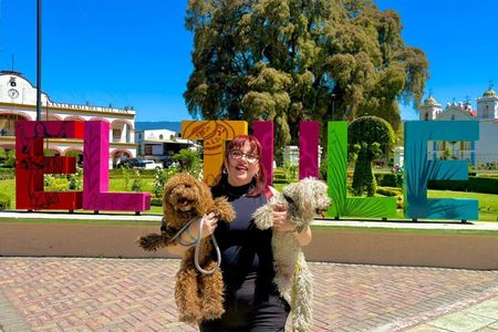 Half Day: El tule, Teotitlán y zona arqueologica de mitla