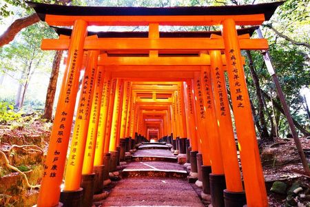 Osaka Kyoto: Nijo Castle, Nara, Arashiyama, Day Trip by Bus