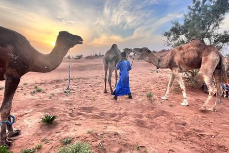 5 Day Sahara Desert Trekking Experience from Marrakech