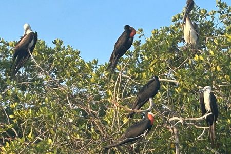Kayaking in San Jose Ixtapa Lagoon with Luis de la Maza