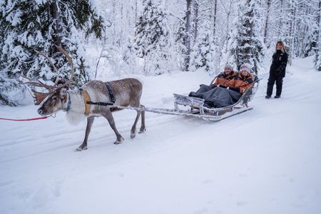 Kuoksa Reindeer Adventure