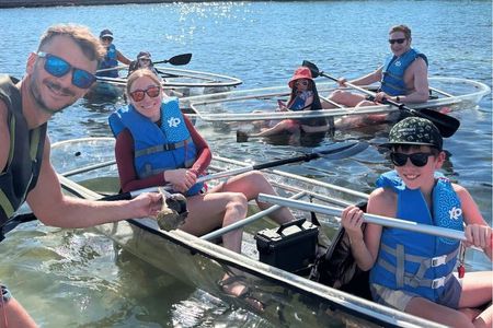2 Hour Clear Kayak Mangrove Eco Tours, St Pete