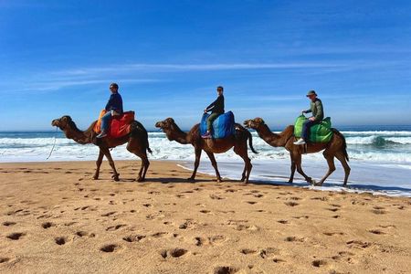 Tangier Private Luxury Tour with Camel Ride - 4-Hour Experience