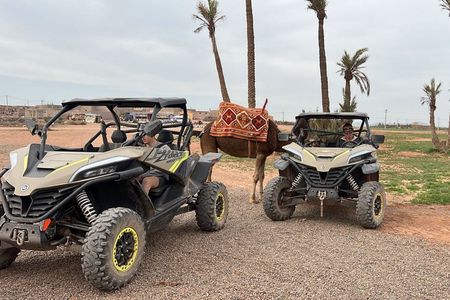 Buggy and Camel at La Palmeraie de Marrakech