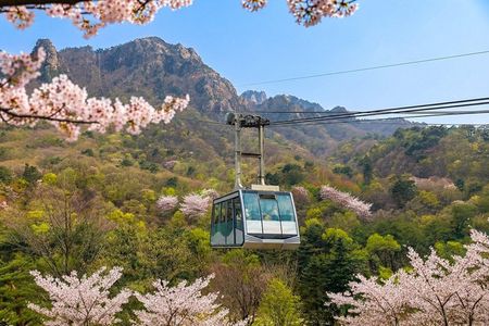 Mt. Seorak+Nami Island+Garden of Morning Calm Day Trip from Seoul