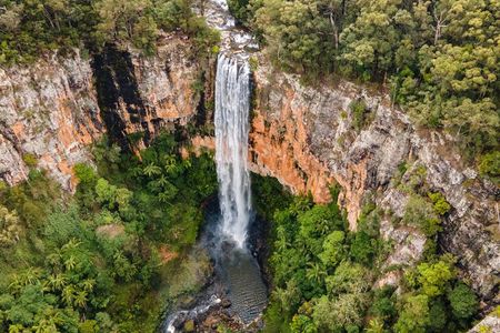 Springbrook Waterfalls and Natural Bridge Tour