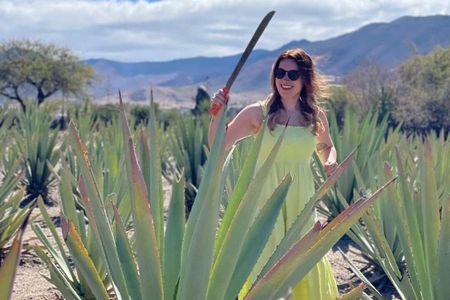 Tradicional Mezcal Experience in Oaxaca-Visit a Family Distillery
