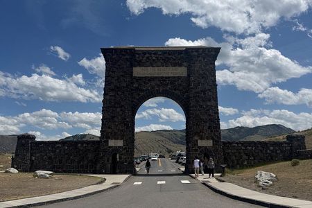 Yellowstone Upper Loop Tour with Lunch