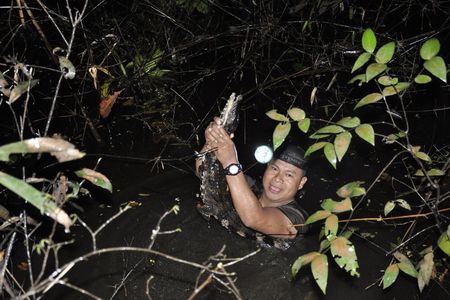 Experience a 4 days expedition in the Amazon,Iquitos-Peru