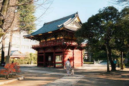 Old Tokyo Guided Walking Tour of Yanaka and Nezu Shrine