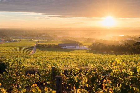 Cape Town Sights & Bites - Private Tour 