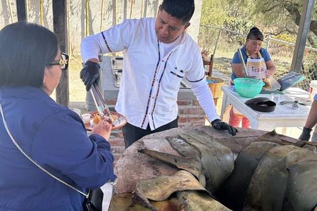 Teotihuacan and Basilica of Guadalupe with Barbacoa Experience