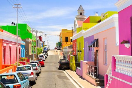 Urban Safari in Cape Town - Private Tour