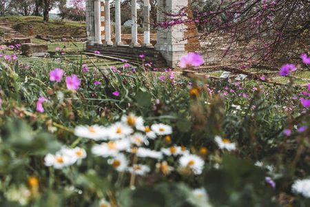 Discover Apollonia Archaeological Park from Fier