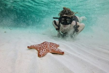 Shared Snorkeling Playa El Cielo in Cozumel
