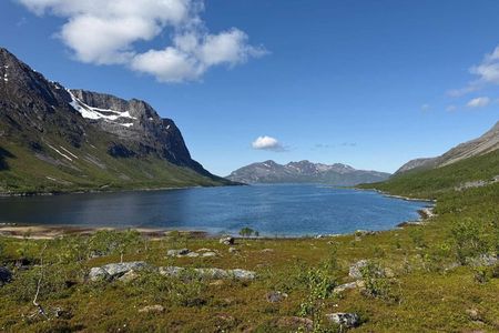 Tromsø: Fjord & Island Tour — Small Group Experience