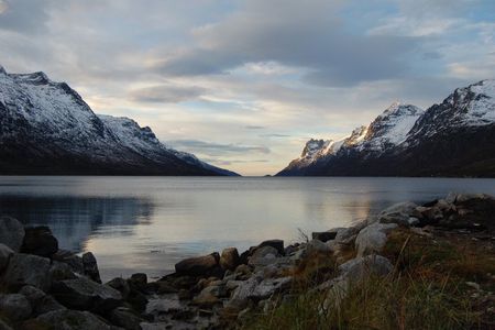 Tromsø: Arctic Fjord & Nature Tour — Small Group Experience