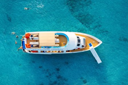 From Paphos: Blue Lagoon, Sea Caves & Aphrodite's Baths Day Trip