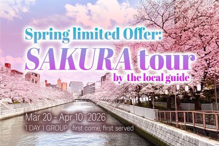 Tailored Tokyo private Tour with a Local Guide (10:00〜)