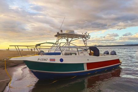 Turtle Island Private Tour 4 People with Lunch and Snorkeling