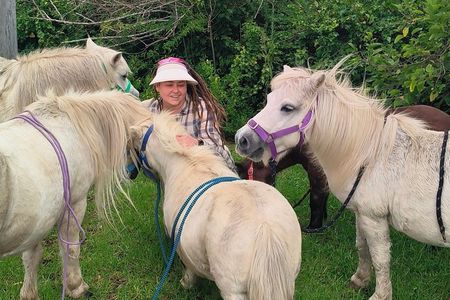 Pony Walking Adventure