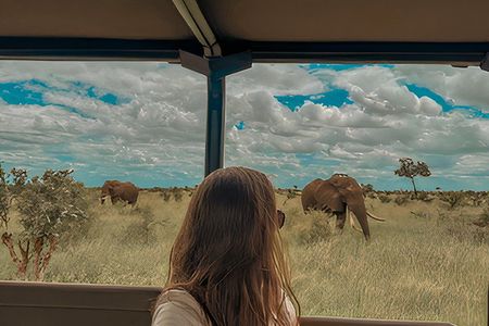4-Day Kruger National Park All Inclusive Safari from Johannesburg