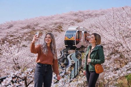 From Seoul : Hwadamsup Garden Entrance Ticket with Shuttle Bus