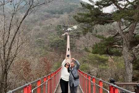 DMZ: Explore 3rd Tunnel & Nature Walk on Suspension Bridge
