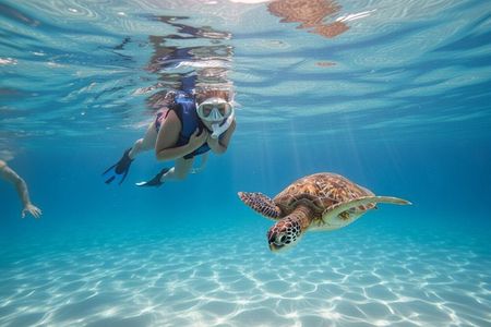 San Juan Turtle Spotting Snorkel Adventure with Videos