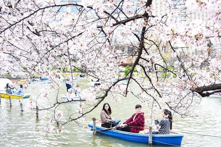 Ueno Park and Ameyoko Street Food Market Half Day Walking Tour