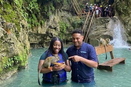 Damajagua 12 Waterfalls Monkey Experience Adventure Puerto Plata
