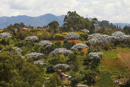 Tour of the towns of the Antioquian East | Medellín